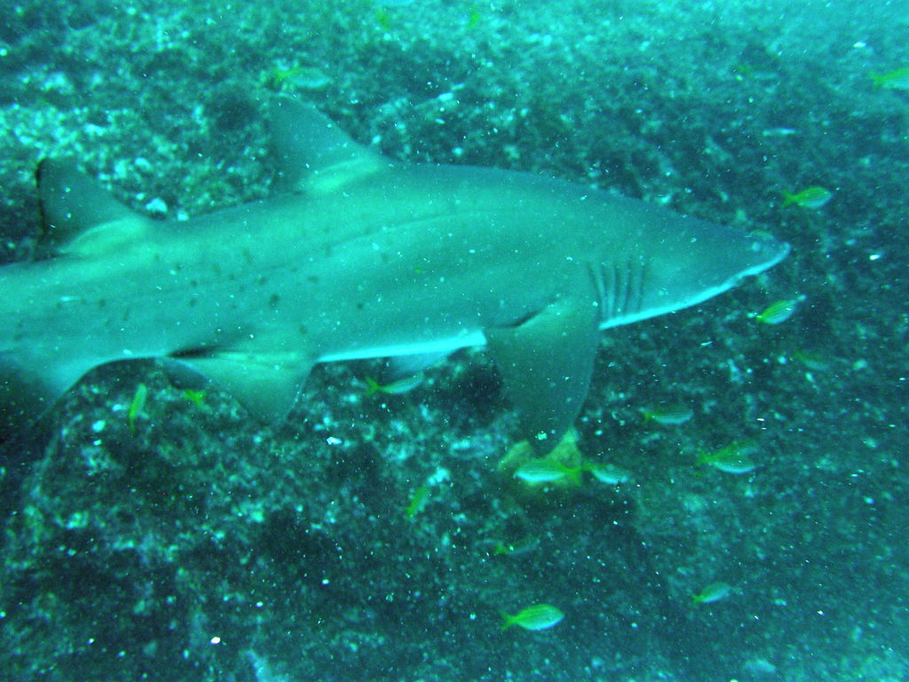 53b7ff25-88ac-46b3-8a8d-6f51cb348188