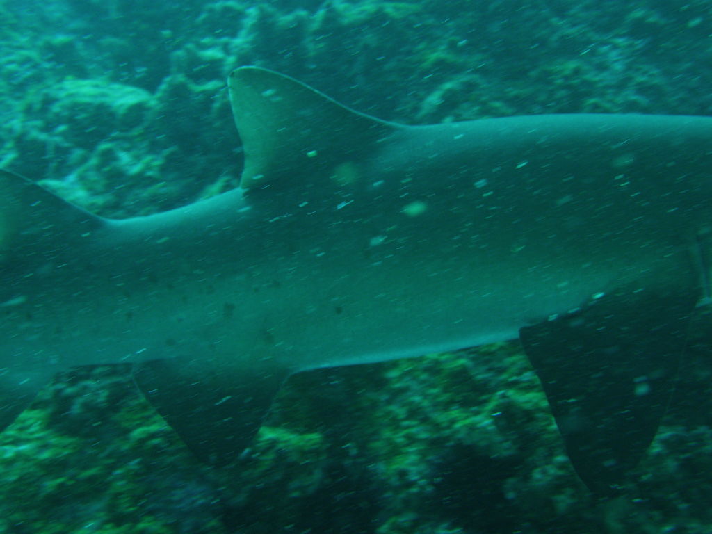 53b7ff25-88ac-46b3-8a8d-6f51cb348188