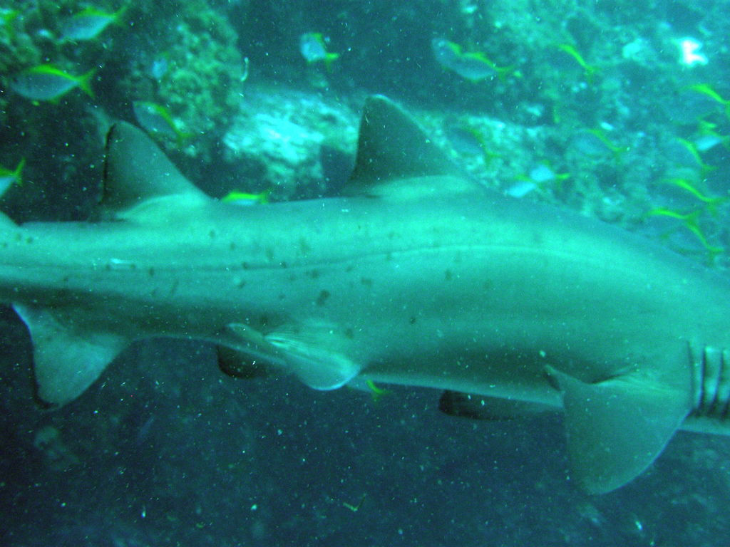 21049ef1-9dc4-4728-9c53-51c9547273e9