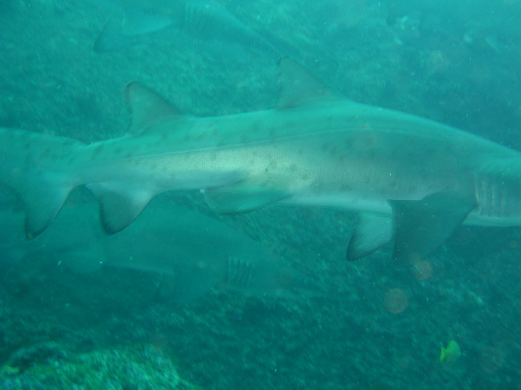 153eadc2-e76d-4a2d-98a0-ebcb75393cb4