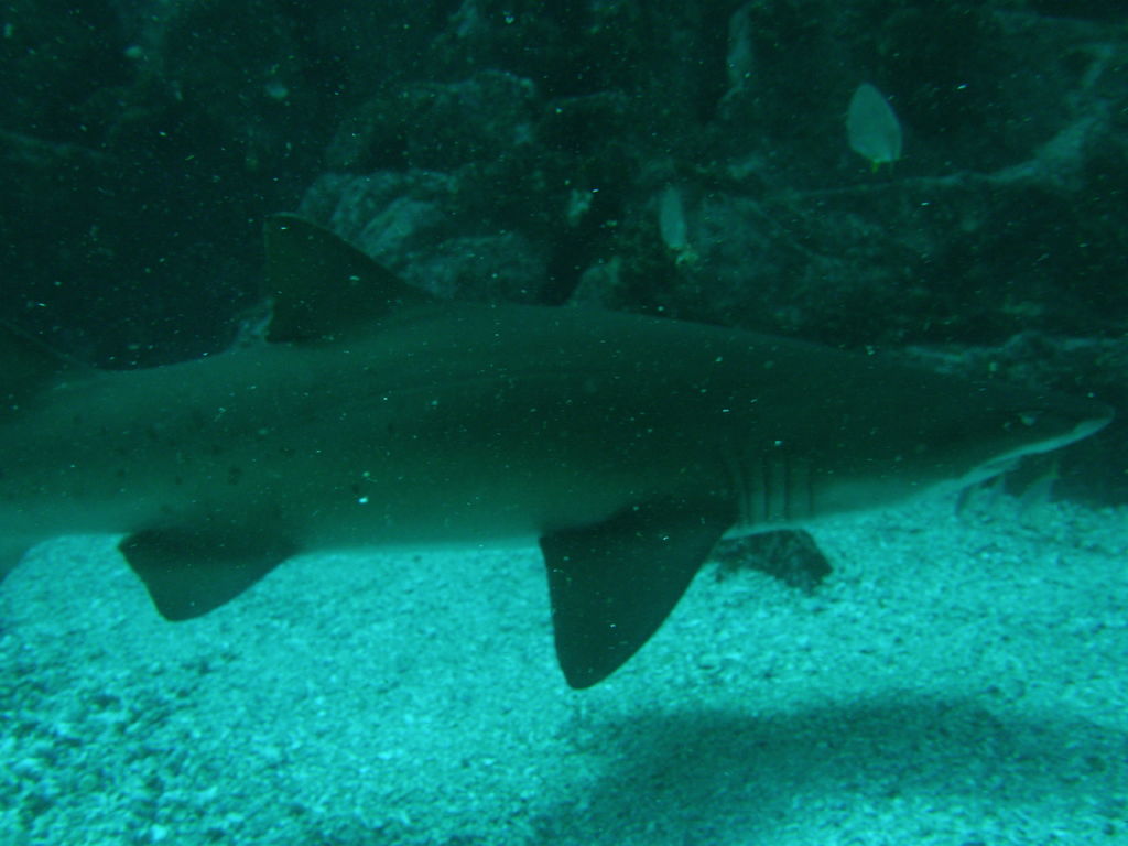 53b7ff25-88ac-46b3-8a8d-6f51cb348188