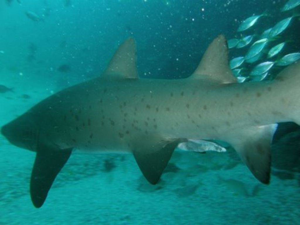 249f05c6-510d-4a84-983f-47cfba5a3933