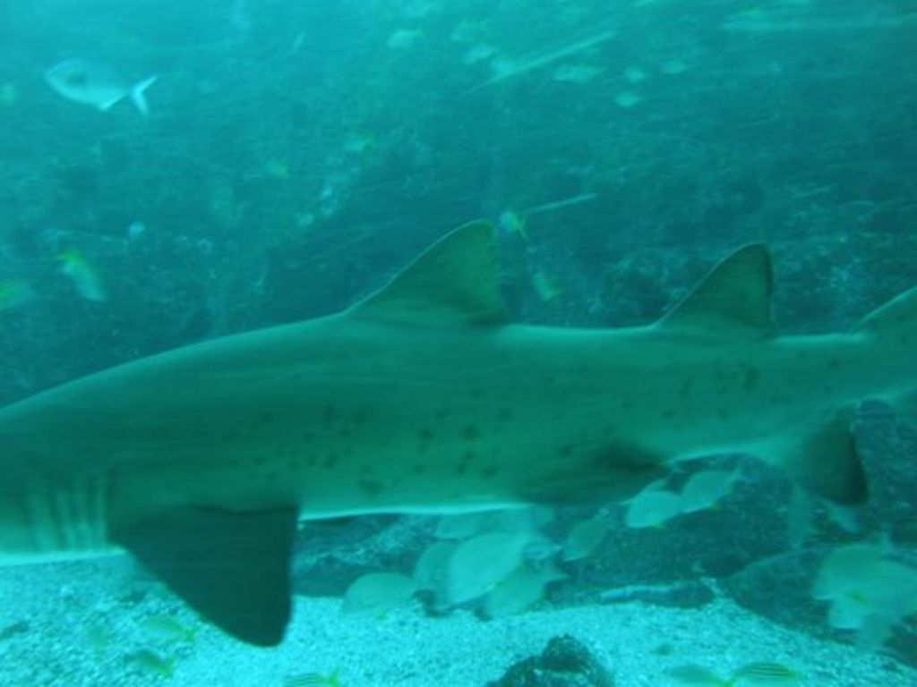 81f67b4a-84de-4820-9c2c-15447147eaaa