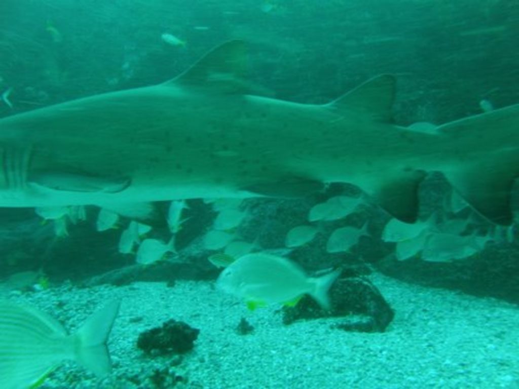 af28eee1-04ff-4fcd-8ade-308c7da9a201