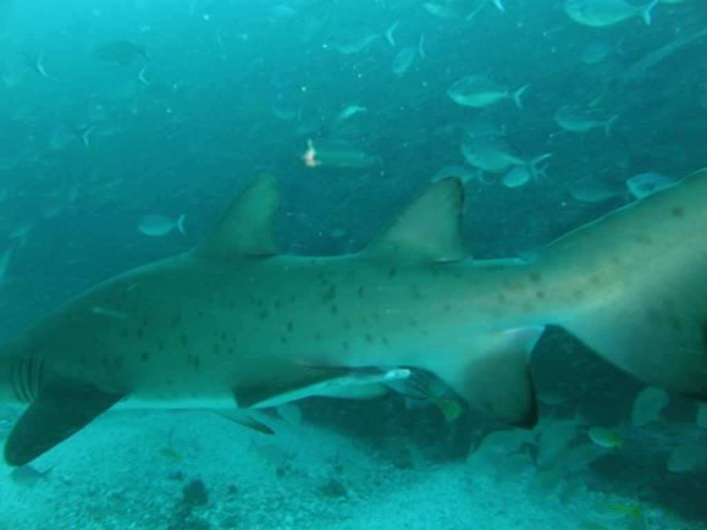 c8f2cf57-e6e1-46b5-8311-a1bfb579989a