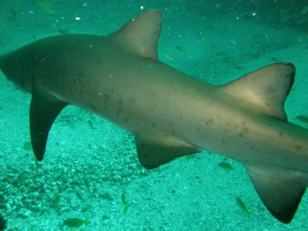 81f67b4a-84de-4820-9c2c-15447147eaaa