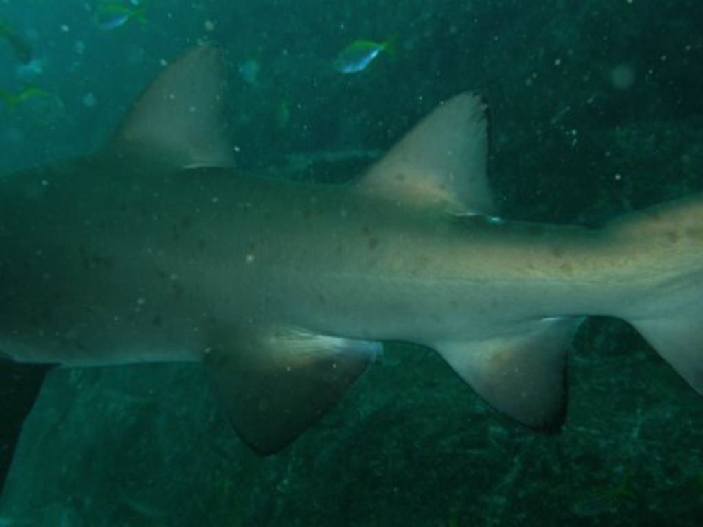 80382589-39da-42d0-816e-e59f0ae9ca5e