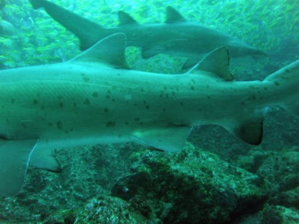 4e1ca866-5bf5-4ed3-bb9b-ad7fcd508bef