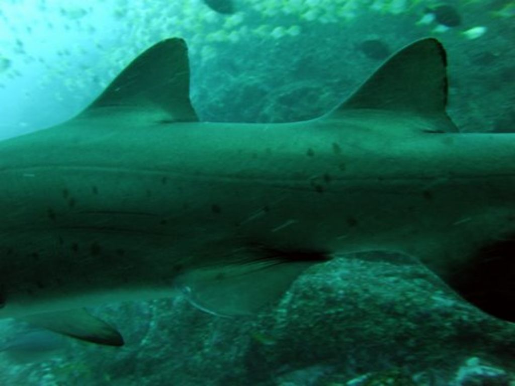 8b799435-8350-484e-b4e5-6ad9cd6184e7