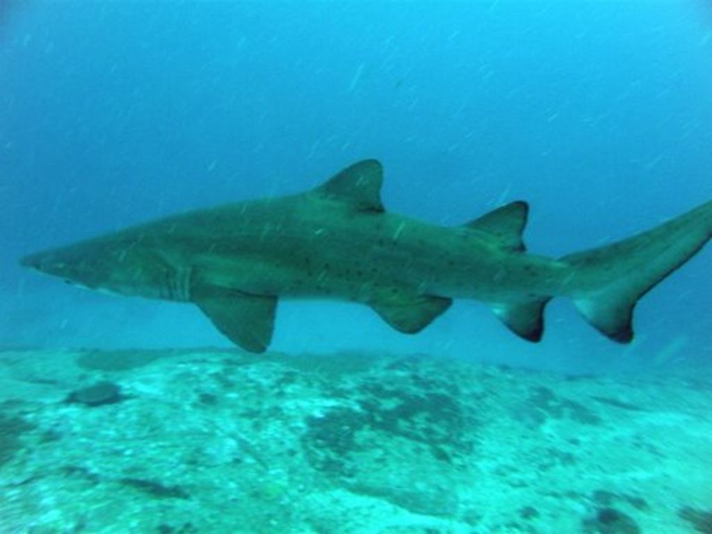 af28eee1-04ff-4fcd-8ade-308c7da9a201