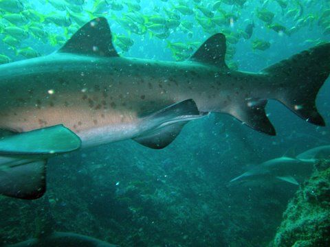 dc228b8d-7081-468e-9874-c77a55f01e0f