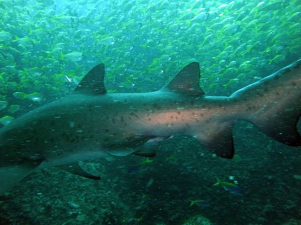 6a280bea-2e0d-4cc3-834b-b6c3befe571b