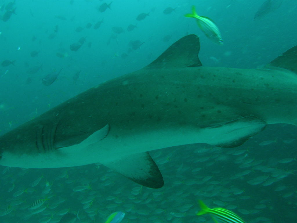 af28eee1-04ff-4fcd-8ade-308c7da9a201