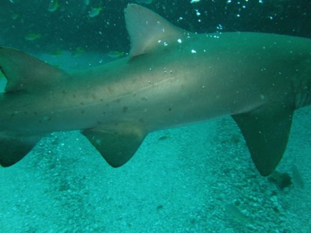 53b7ff25-88ac-46b3-8a8d-6f51cb348188