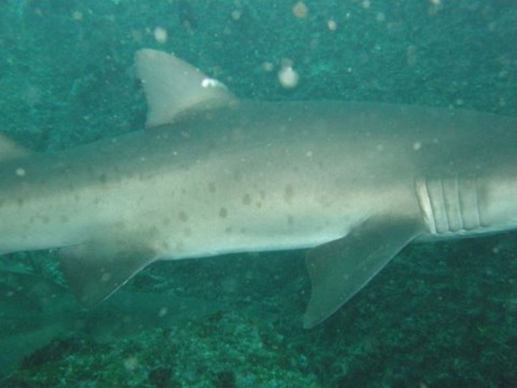 491aef20-dfec-488c-a3a8-764b95677935