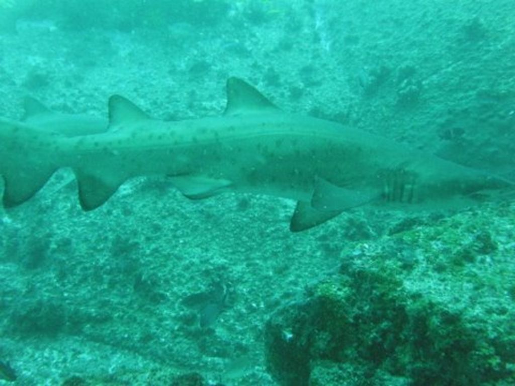 153eadc2-e76d-4a2d-98a0-ebcb75393cb4