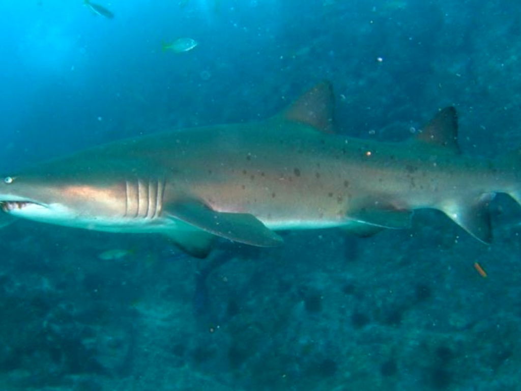 21049ef1-9dc4-4728-9c53-51c9547273e9