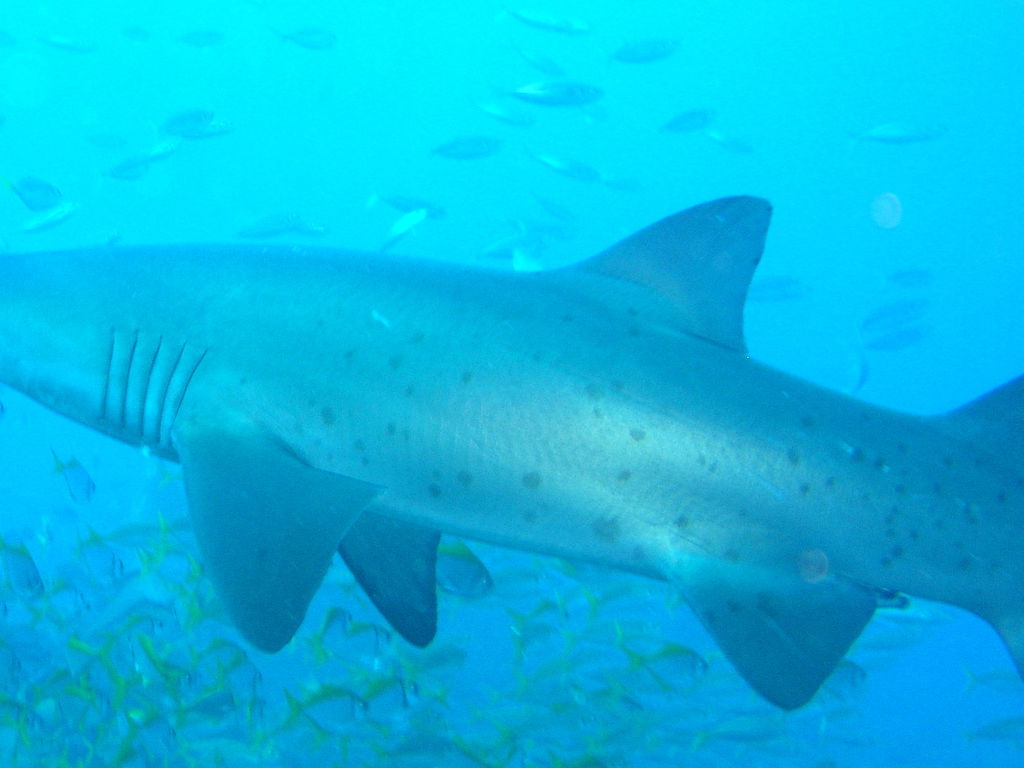 2bc39fb5-48a6-4fd8-ad92-d88db51a6b6a