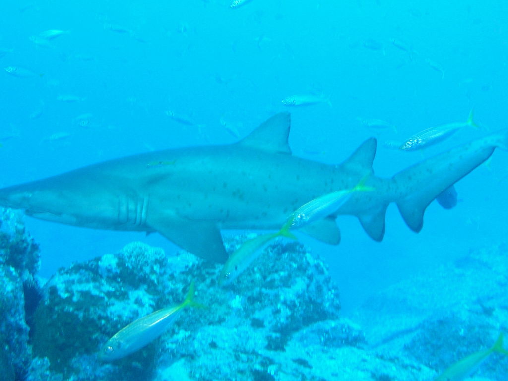 c7dfd18c-19ee-4eef-9a62-395bb7cf8cb9