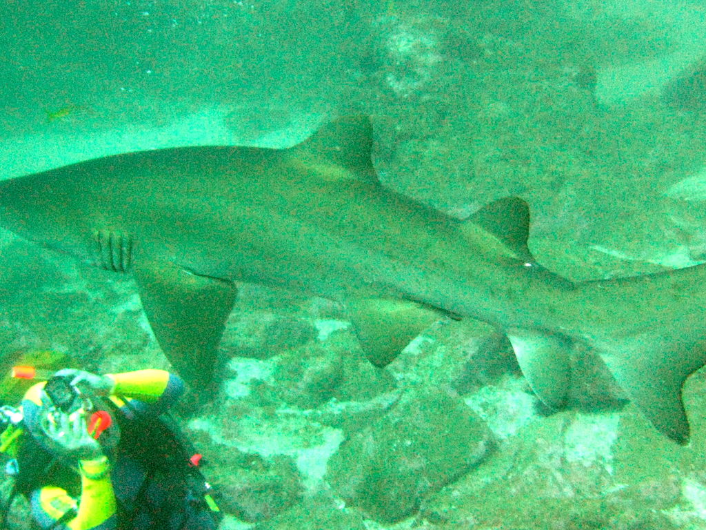 05da92f2-0a8d-4b7f-b6d6-4f268930f6be