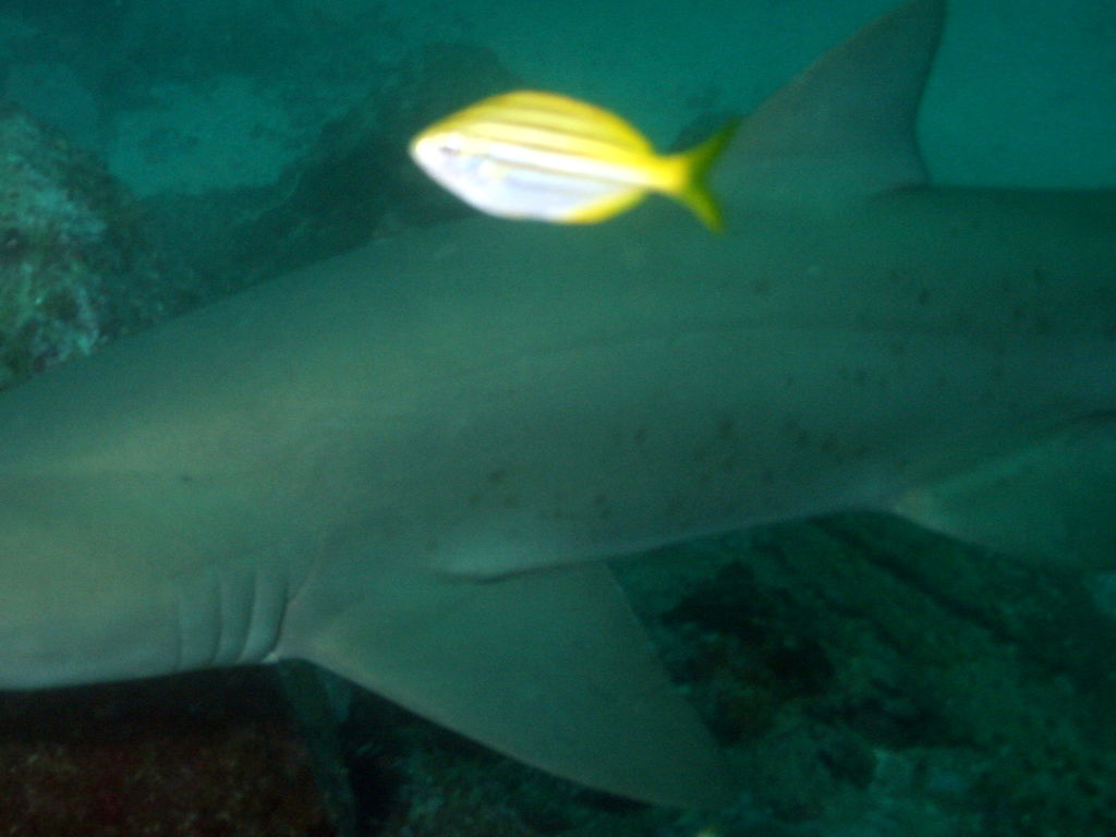 5f8e0394-cfdd-4155-8151-2afffd49164e