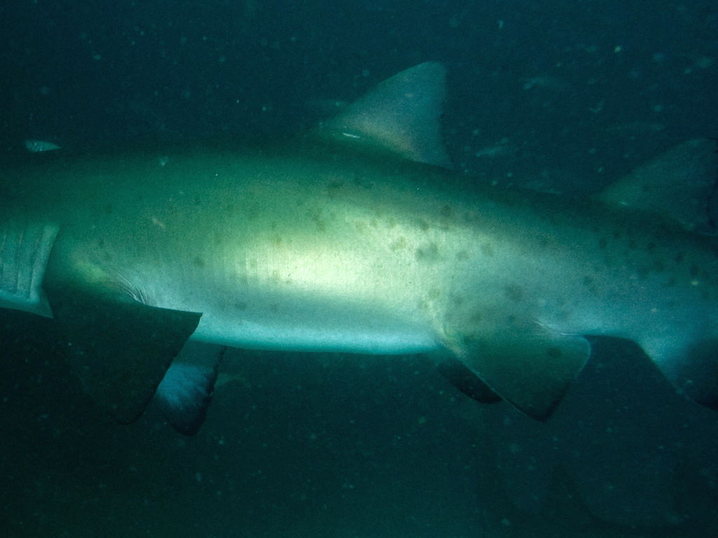 c73fa16f-a454-489b-b4e8-757cac9a24fa