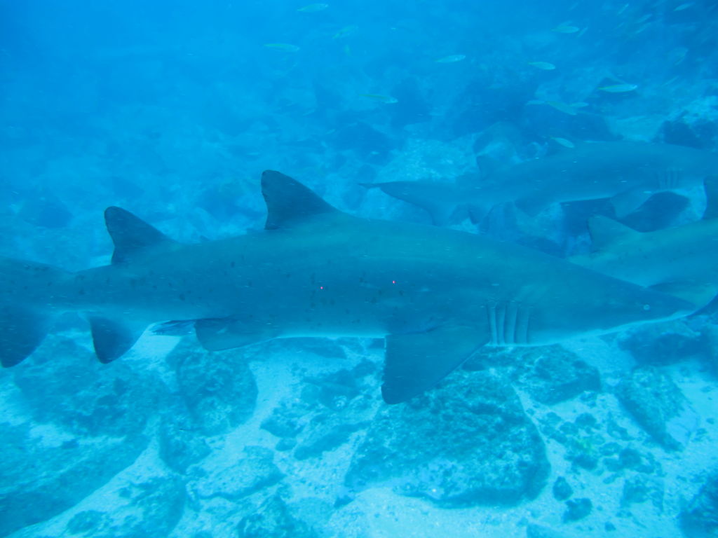 fa0116fc-553f-4cf0-a30b-81bafd5dc627