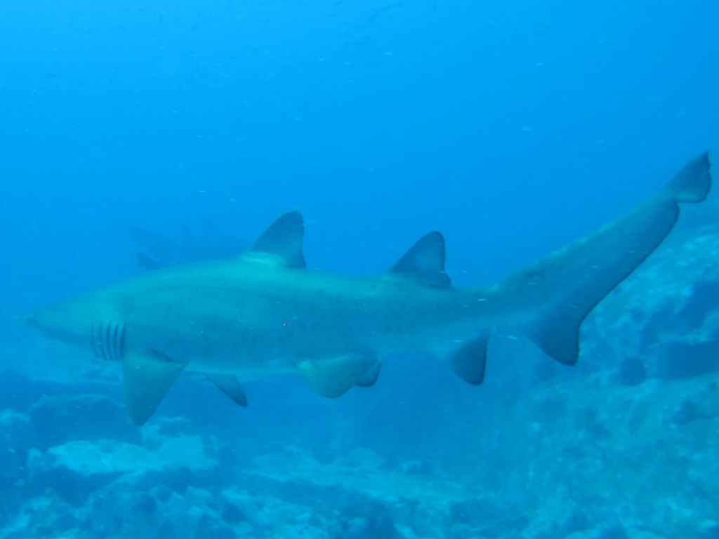 28f9175a-a695-43e4-97be-b2ccd7ea3dc3