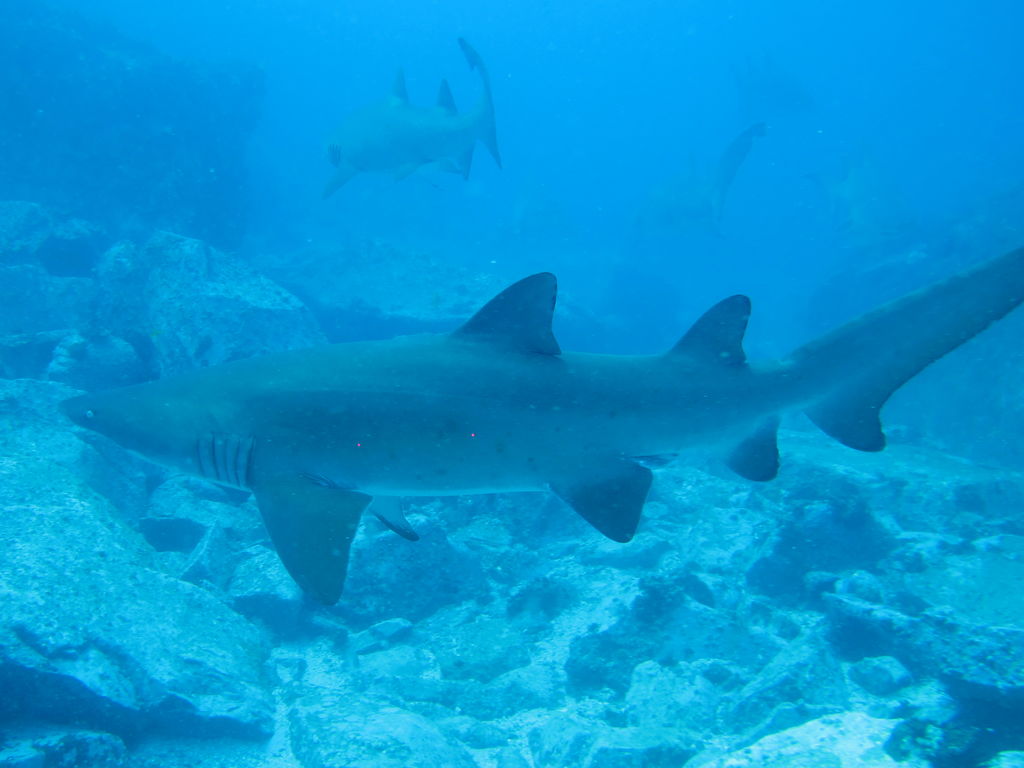 e4a2616e-57bf-42b4-bf1f-cf31bf953484