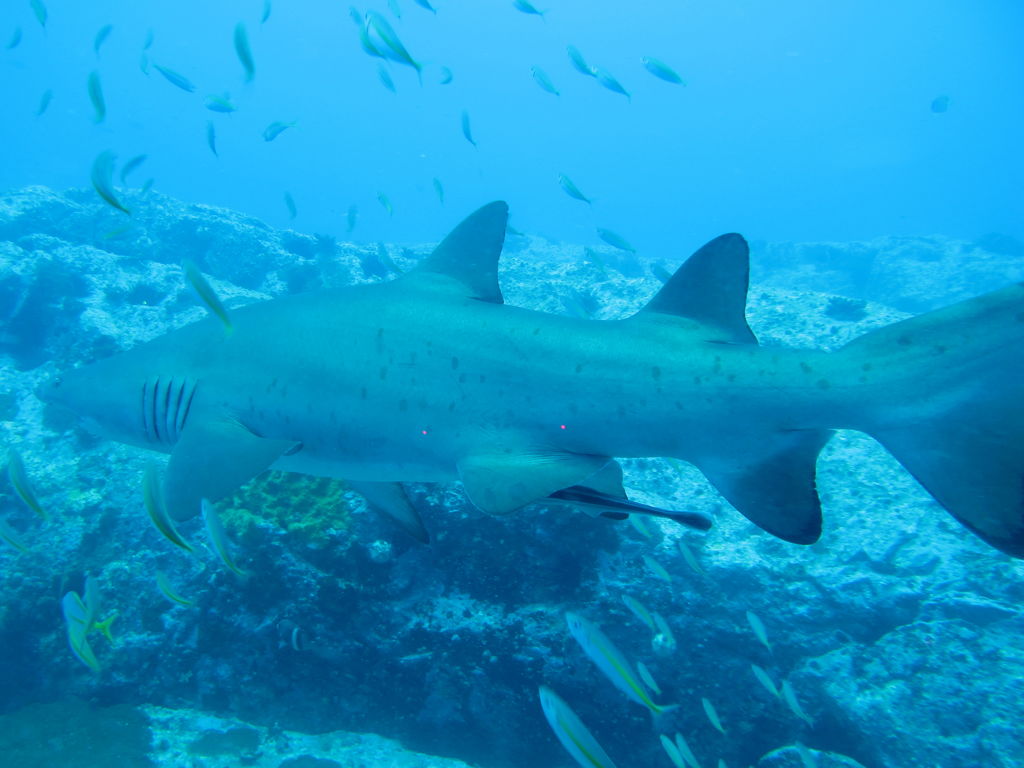 b0737d2e-460f-4eb3-83e7-8c02b8bc2876