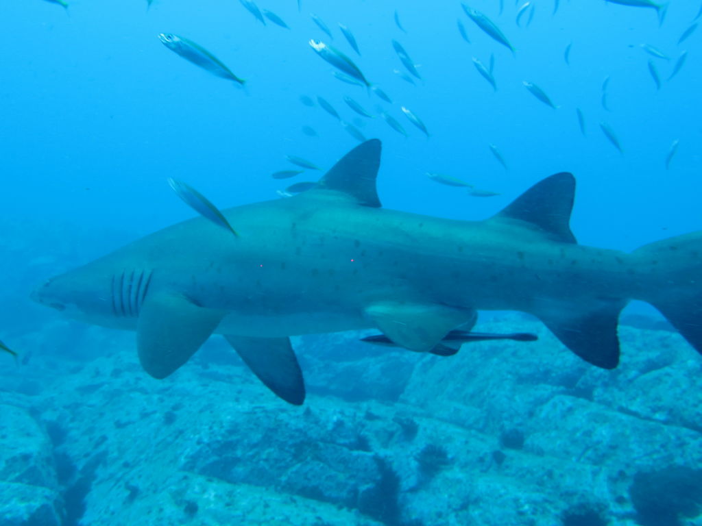 b0737d2e-460f-4eb3-83e7-8c02b8bc2876