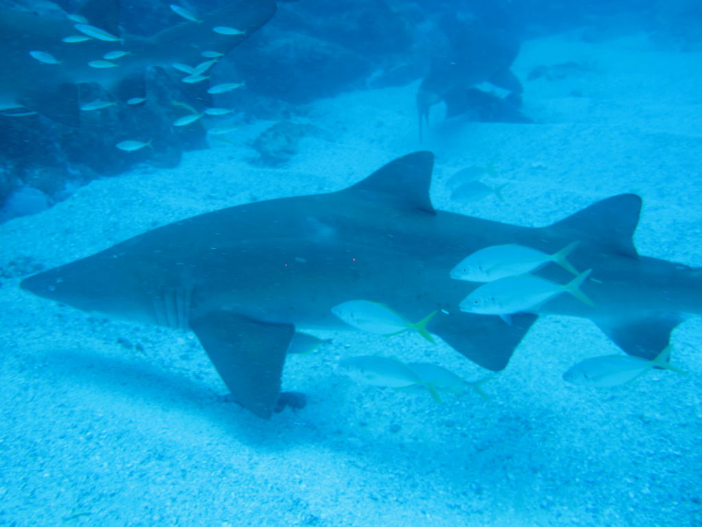 9ecaf8d9-0b31-428c-ad12-8b8e476fbb25