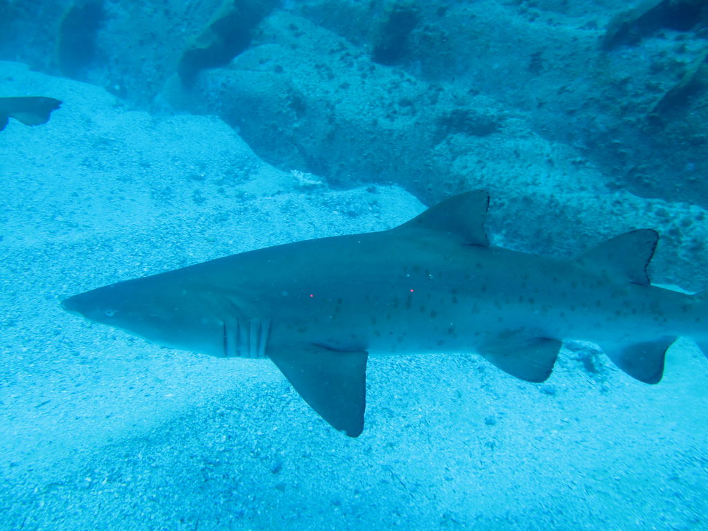 16c17852-a675-4a11-b520-39548c8a6843