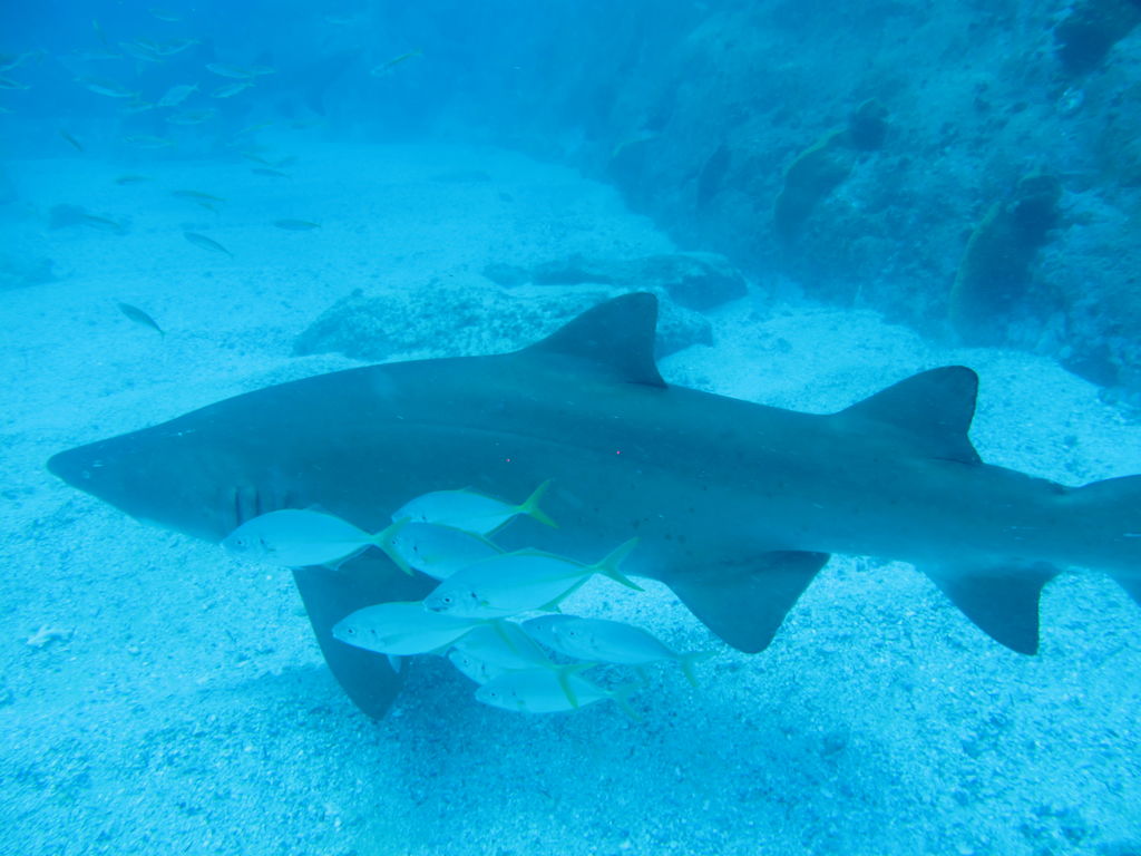 9ecaf8d9-0b31-428c-ad12-8b8e476fbb25