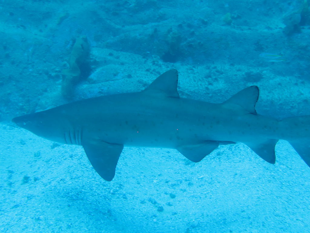 c7dfd18c-19ee-4eef-9a62-395bb7cf8cb9