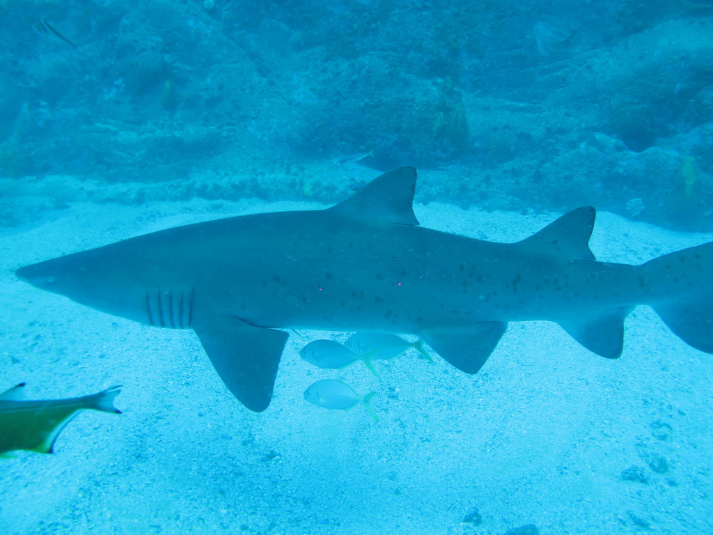 9f4f95d2-048c-4480-acee-1135c7ce2bb1