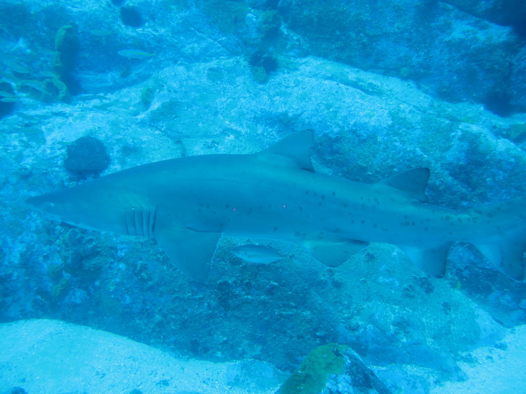 d0ff49c6-73c7-42bc-90a5-aef23a8edbf4