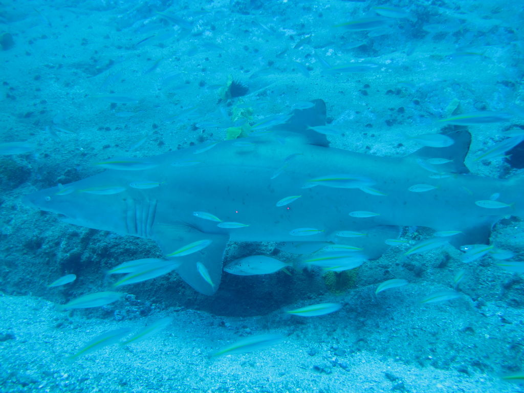 c30a116f-1001-4f0b-b795-1ee7383f70e8