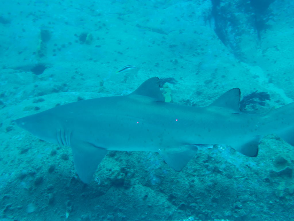 4f63aedc-8778-4ed5-abe2-4728acbf8844