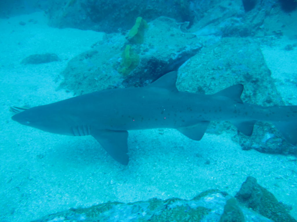 1bde0454-069a-4aa5-819a-f7fe4d3e1470