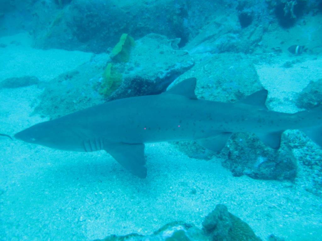 1bde0454-069a-4aa5-819a-f7fe4d3e1470