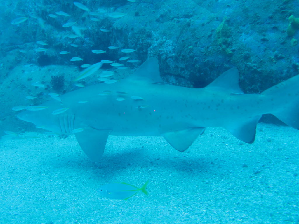 88307ccd-79ae-41cc-b906-10074c97fd3a