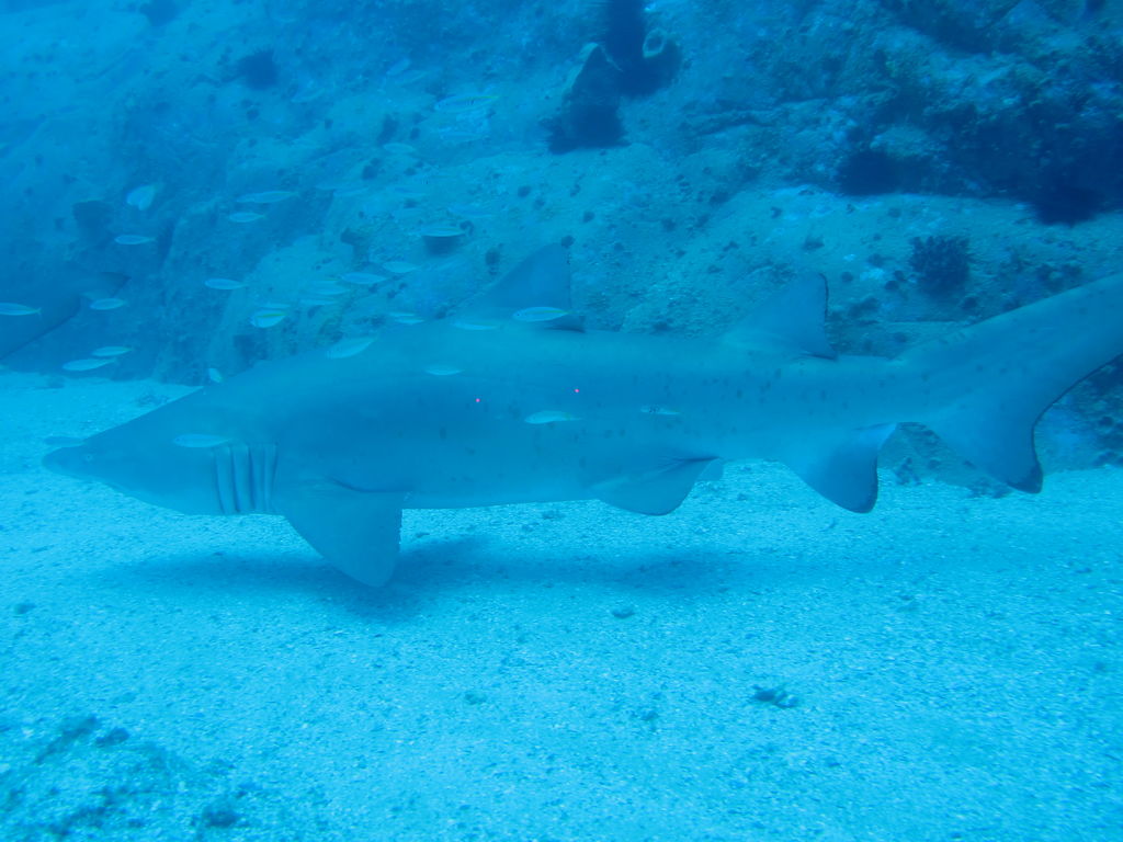 88307ccd-79ae-41cc-b906-10074c97fd3a