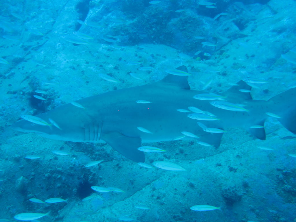 ab71fc3f-22a4-48d5-b9ee-f3dd8c8c8ce1