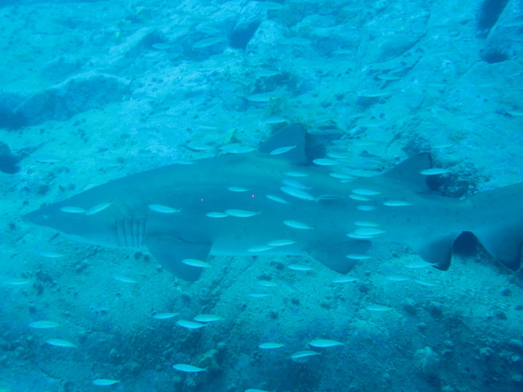 ab71fc3f-22a4-48d5-b9ee-f3dd8c8c8ce1