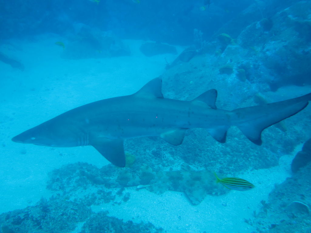 2cccbede-b444-4365-ad59-5226a639933b