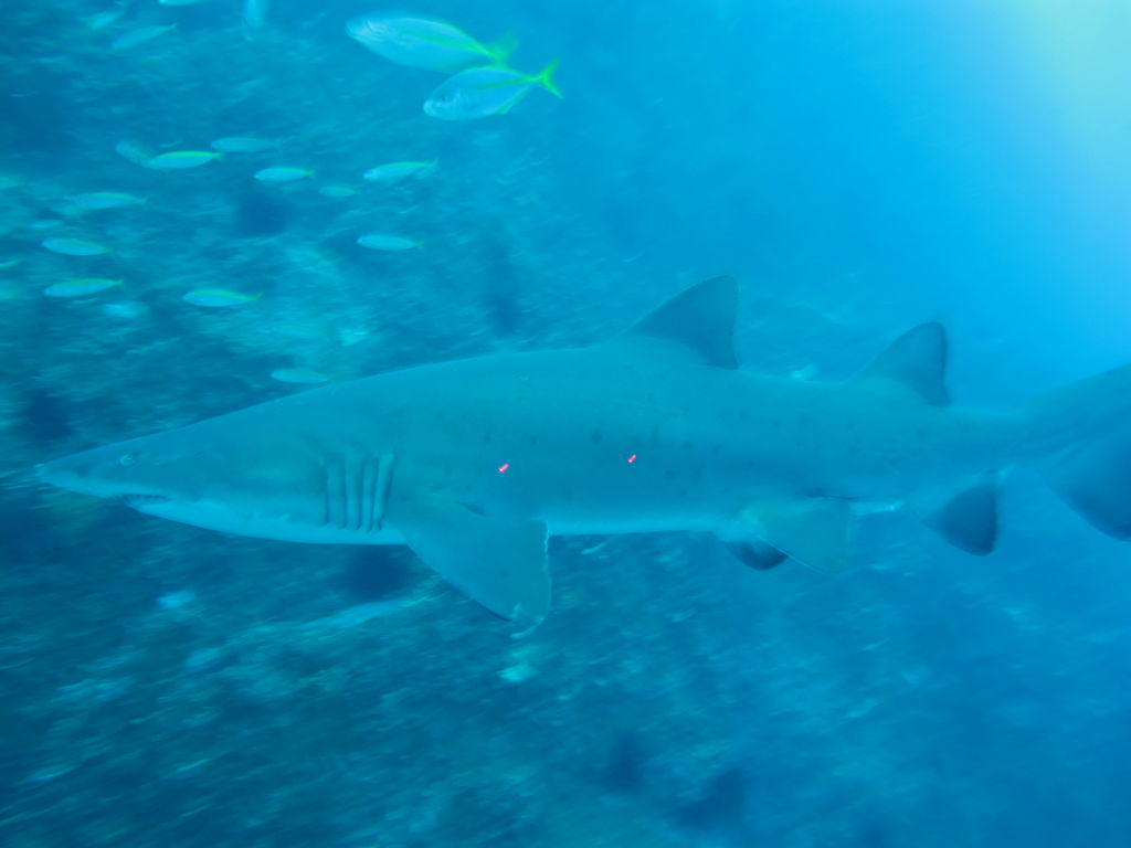 ac8825be-73ea-4dbb-a63a-7ba1ff91133b