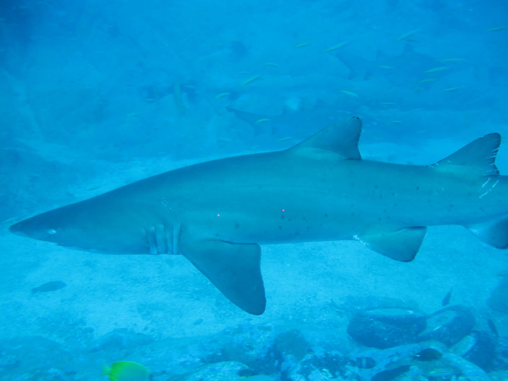 967fa963-80de-4314-b201-616a80b9828d