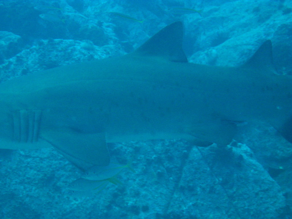 626d0896-04f5-4089-b223-1f56ce1e1bc0