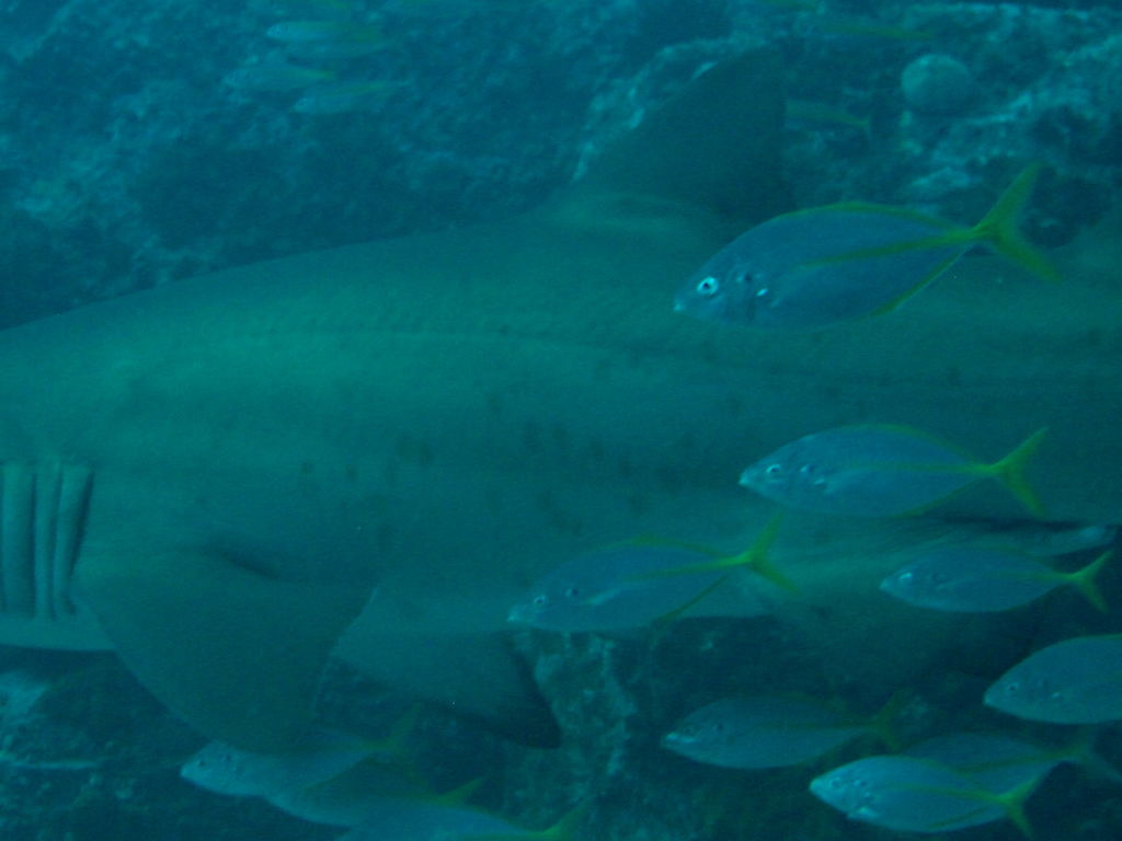 626d0896-04f5-4089-b223-1f56ce1e1bc0